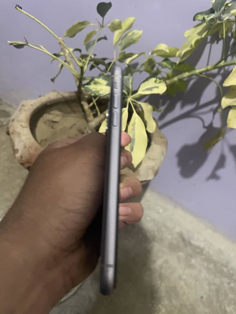 iPhone 11 0