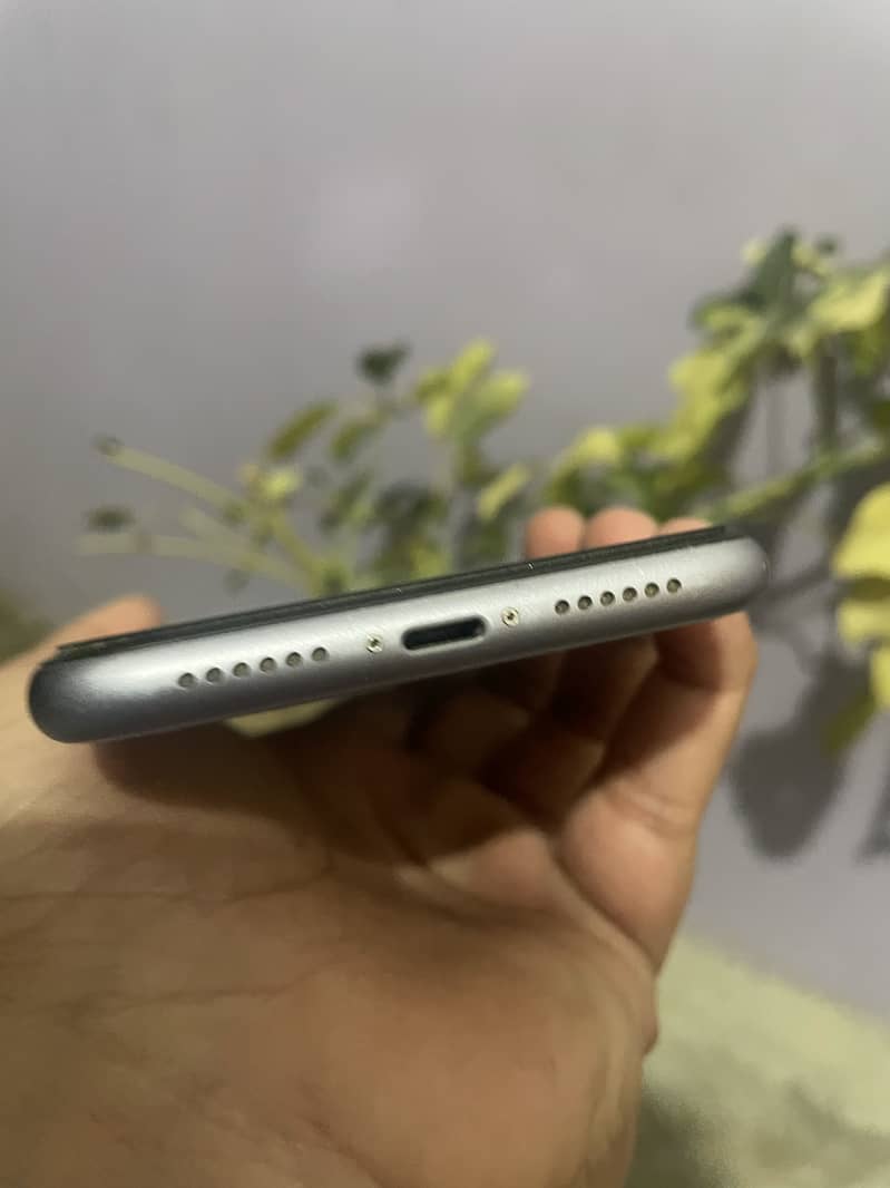 iPhone 11 4