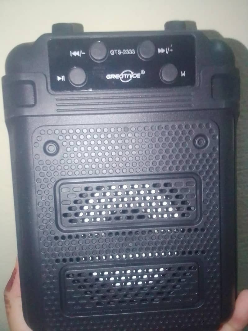 portable wireless speaker 1