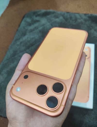 17 Pro max 256GB