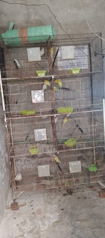 2 cage for sale condition 10/9 1 year use