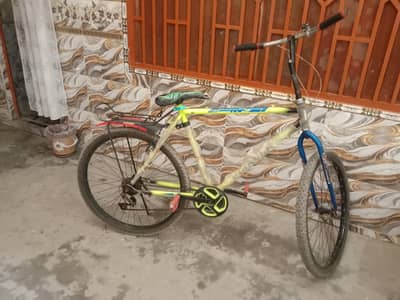 Qadi bicycle