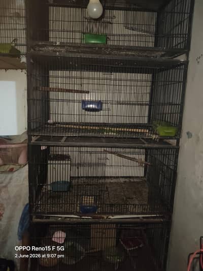 bird cage