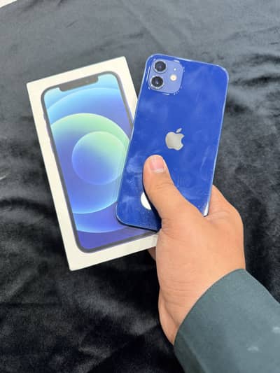 iPhone 12