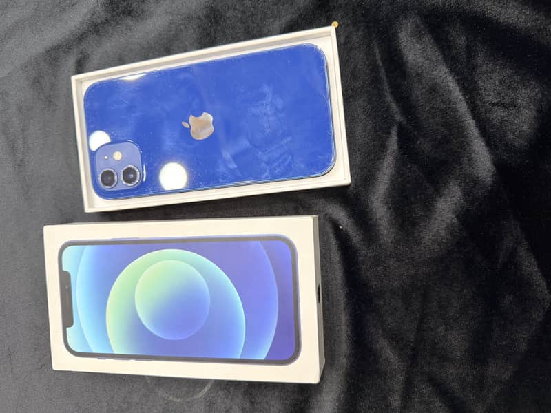 iPhone 12 1