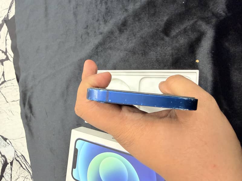 iPhone 12 6