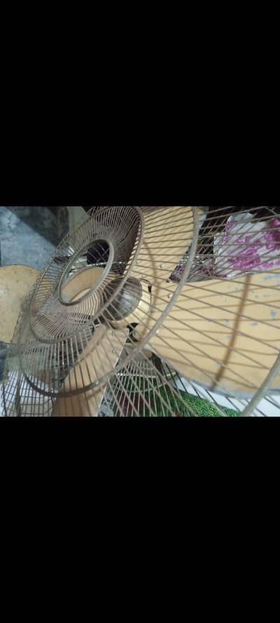 stand fan for sale urgent sale