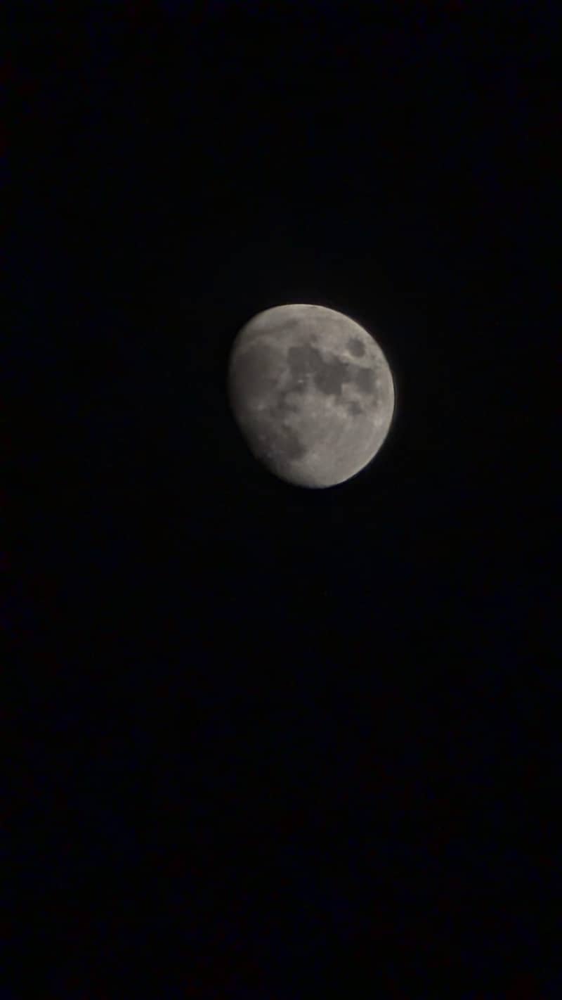 Google Pixel 8 Pro 5