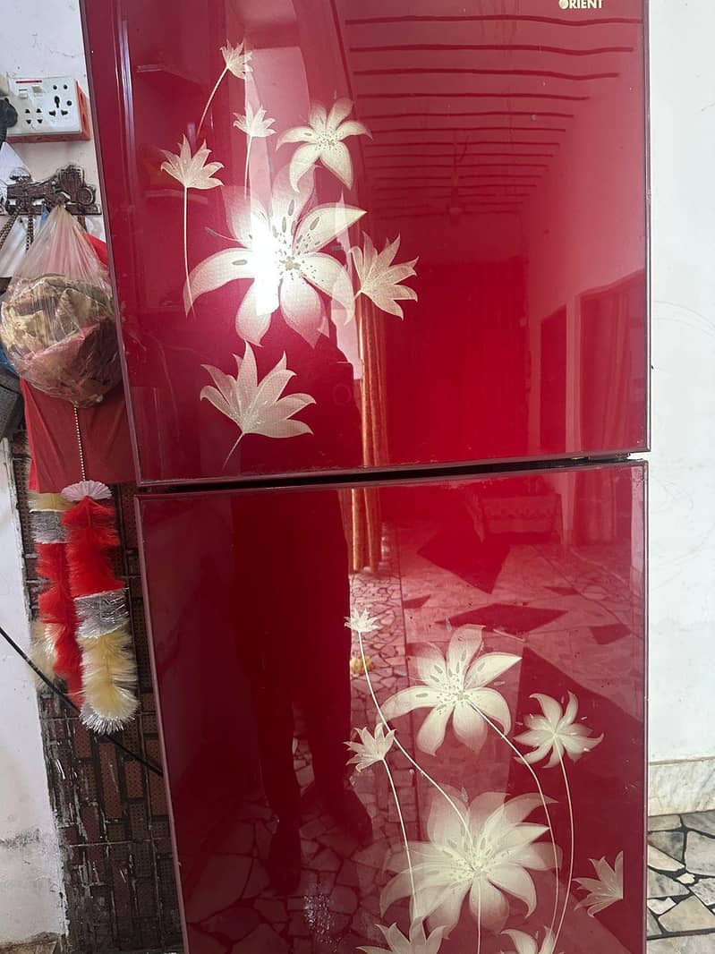 refrigerator 2
