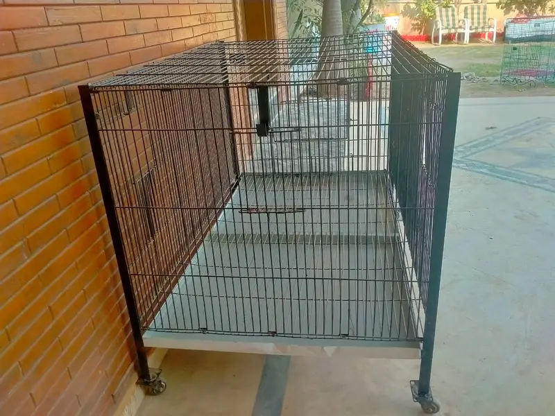 Cage for dogs