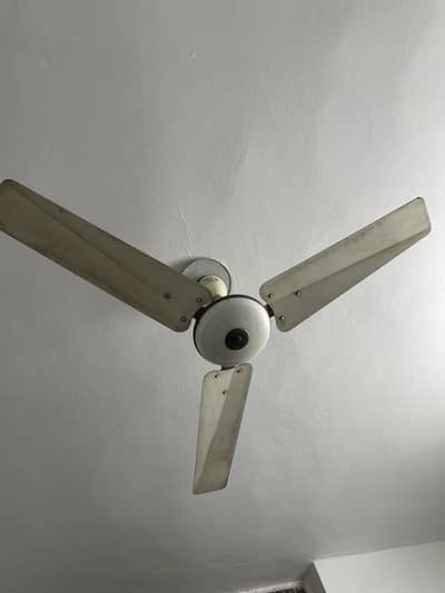 Pak ceiling fan