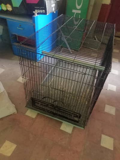 cage for raw parrots