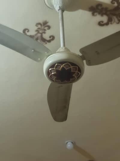 one year used condition 10/10