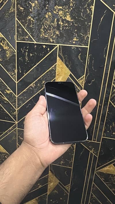 iPhone 12 Pro