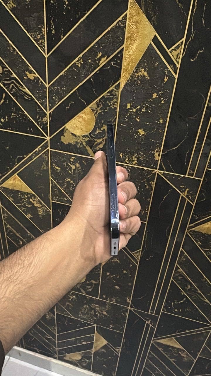 iPhone 12 Pro 1