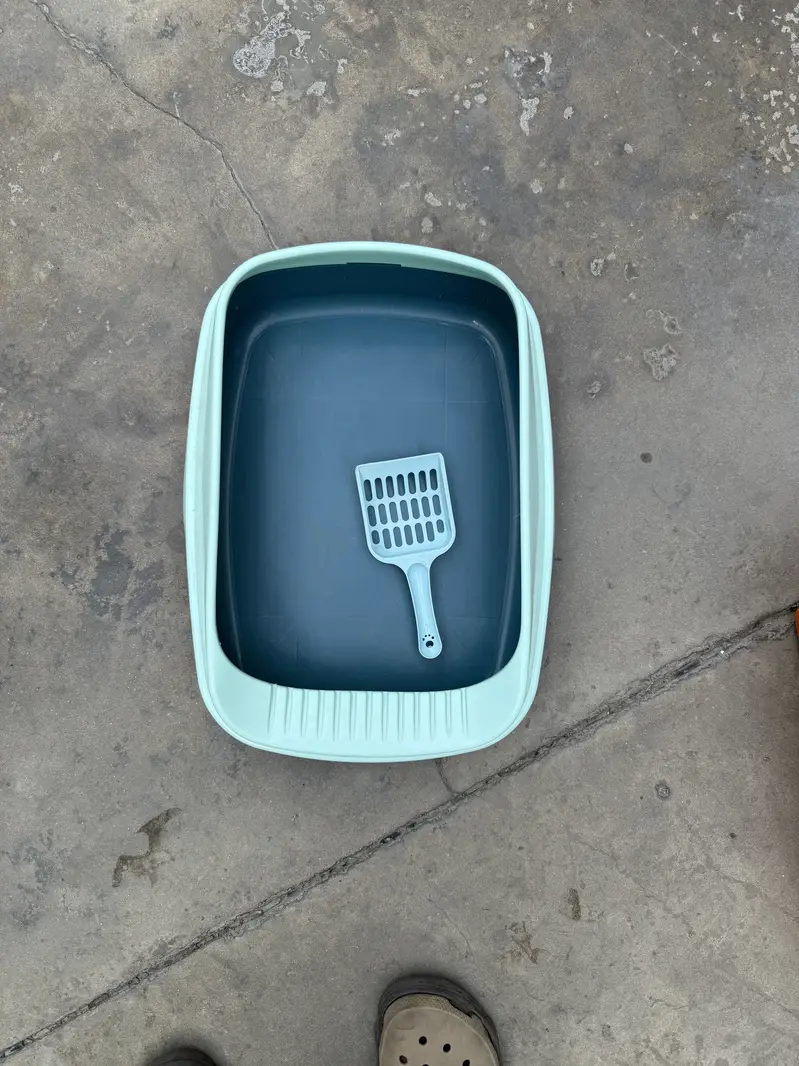 Litter Box