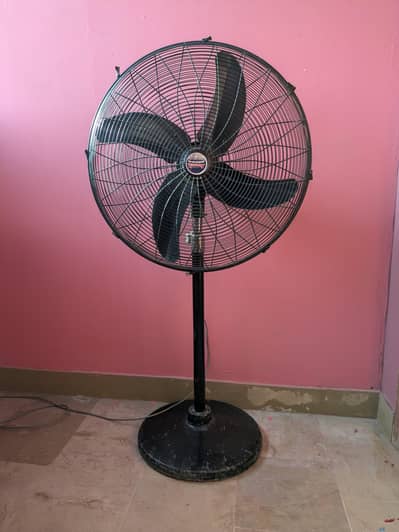 Stand Fan