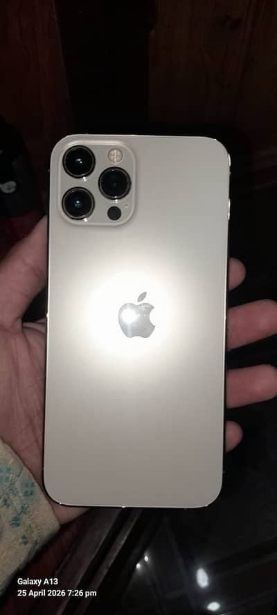 Apple iPhone 12 Pro Max