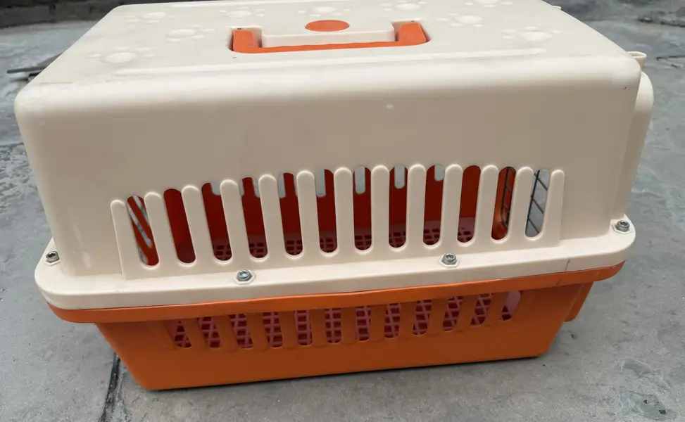 Cat Travels Cage — photo 3