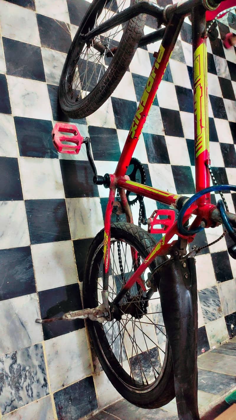 cycle 4
