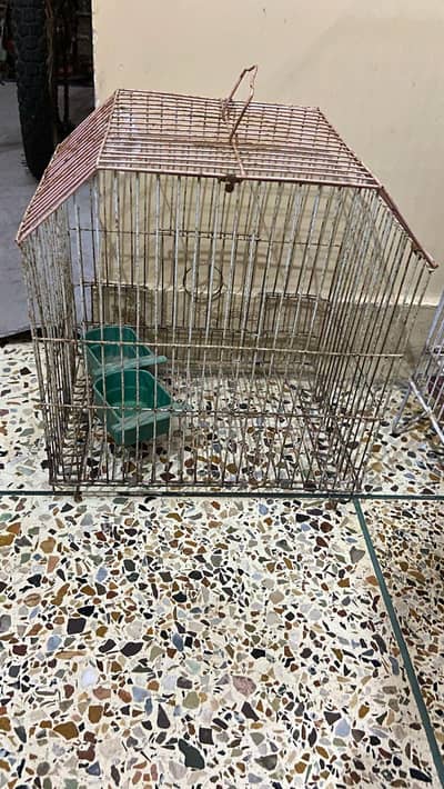 pinjra bird cage