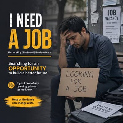Need Job