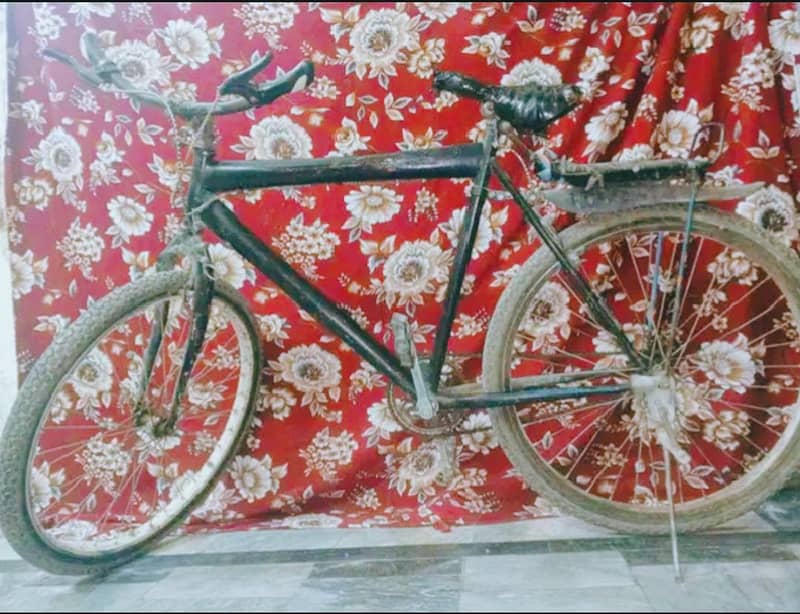 Bicycle 0