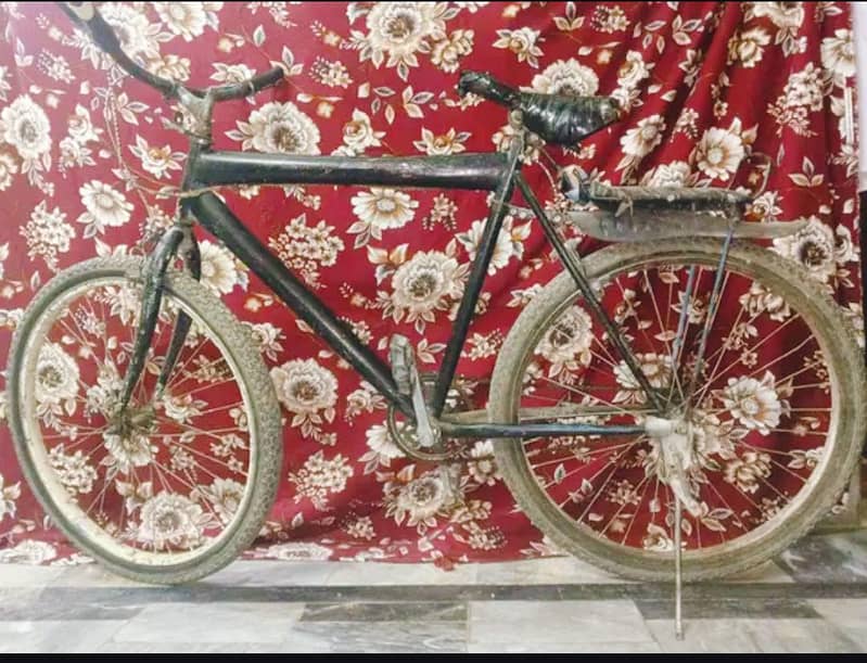Bicycle 1