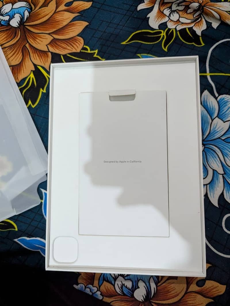 Ipad Pro M2 256gb  11inch 6