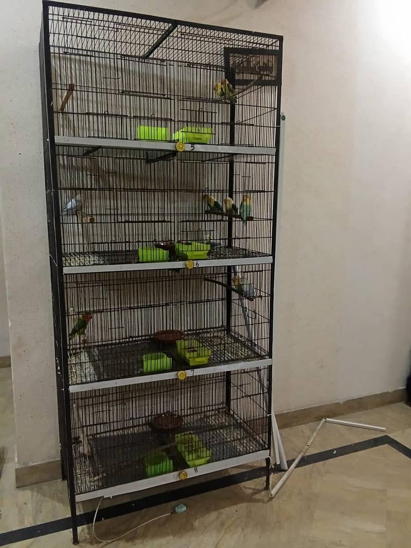 Cages 0