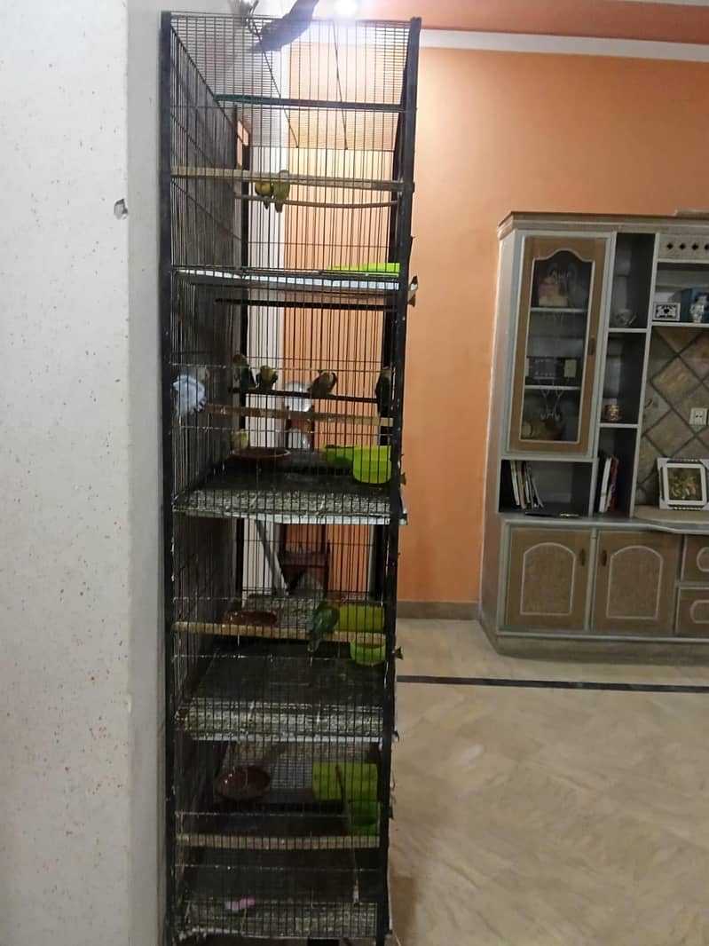 Cages 1