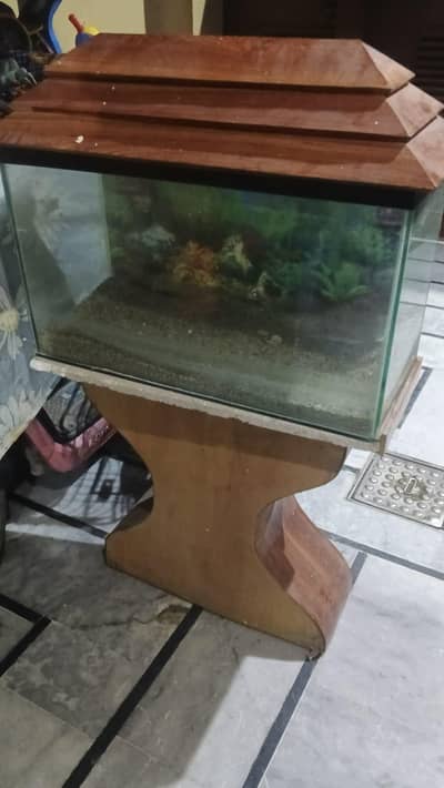 aquarium