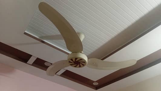 sonex fans