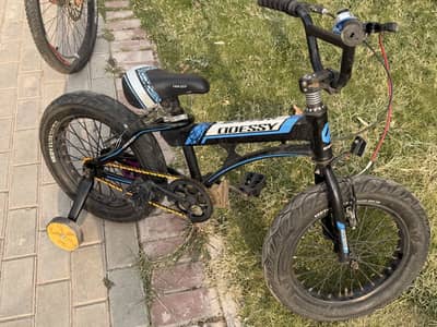 Kids Bicycle for Sale – Odyssey BMX Style Bike