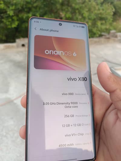 Vivo X80 12/256