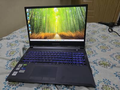 Budget Gaming Laptop i7 10th gen with Nvidia Graphic card