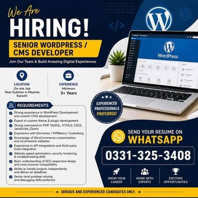 Wordpress CMS Developer