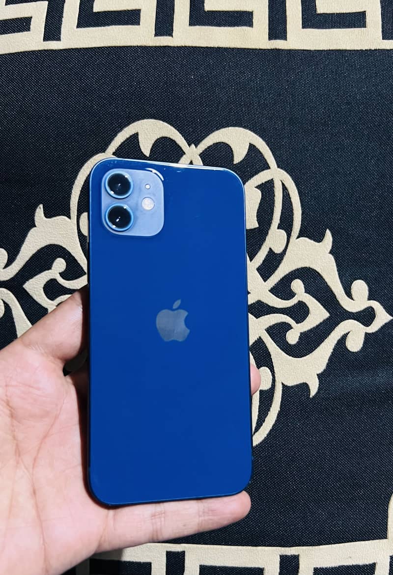 iPhone 12 1