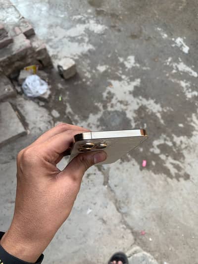12 pro max pta Approved 256 golden