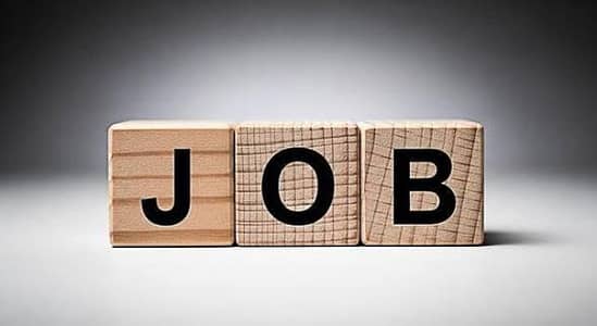 packing +Rider+office jobs
