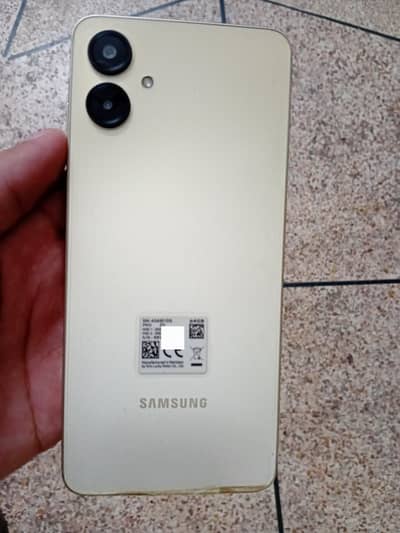 Samsung Mobile A06