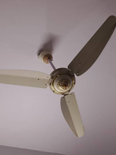 Ceiling Fan for Sale – Excellent Condition