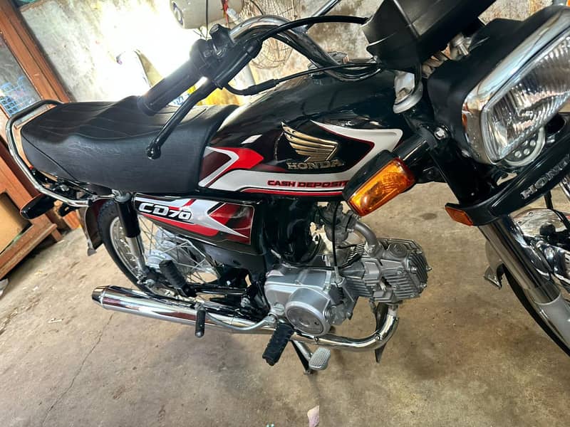 CD70cc 1