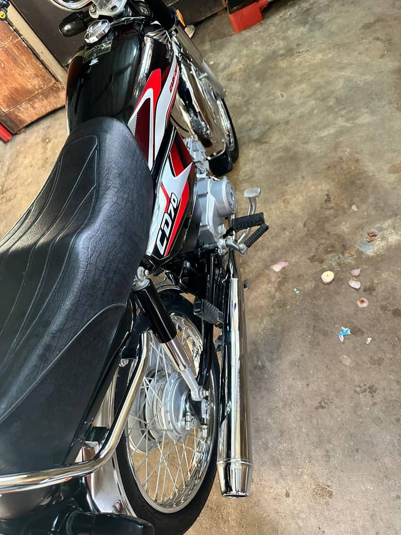 CD70cc 3