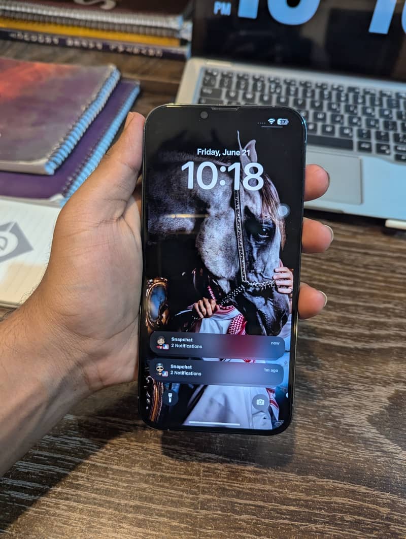 Iphone 13 pro max 1
