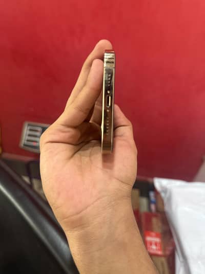 Apple iPhone 12 Pro Max