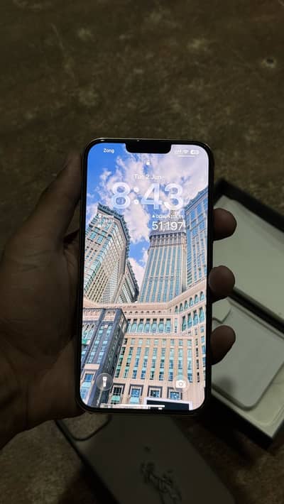 Apple iPhone 13 Pro Max