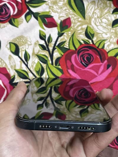 Apple iPhone 12 Pro Max