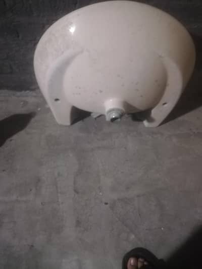 baisns only head