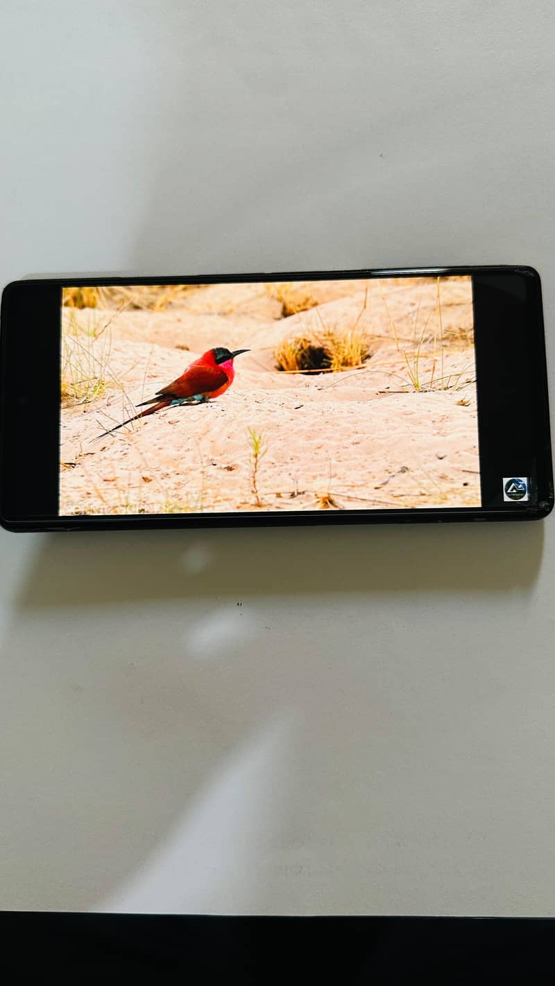 Google Pixel 6a 3